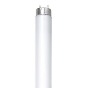 Tube fluorescent F32T8 32W 4 pieds, culot G13, boîte de 25, pour luminaires T8 à démarrage rapide.