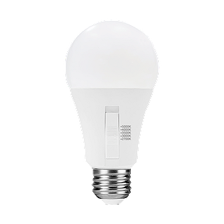 Ampoule DEL A19 9W 5CCT givrée E26 gradable 800 lumens